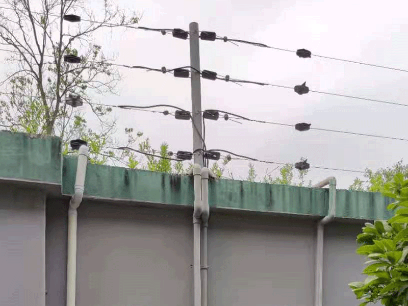 漲知識：電子圍欄系統(tǒng)的分類及功能，你知道嗎？