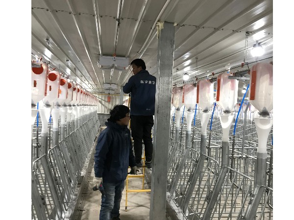 養(yǎng)豬場視頻監(jiān)控系統(tǒng)安裝，從布線到安裝需要的就是嚴謹